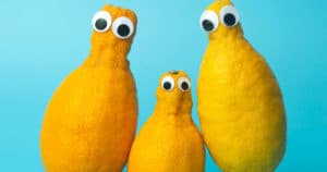 Les Superpouvoirs Ignorés des Fruits Moches