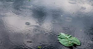 La Vie c'est Comme une Flaque d'Eau