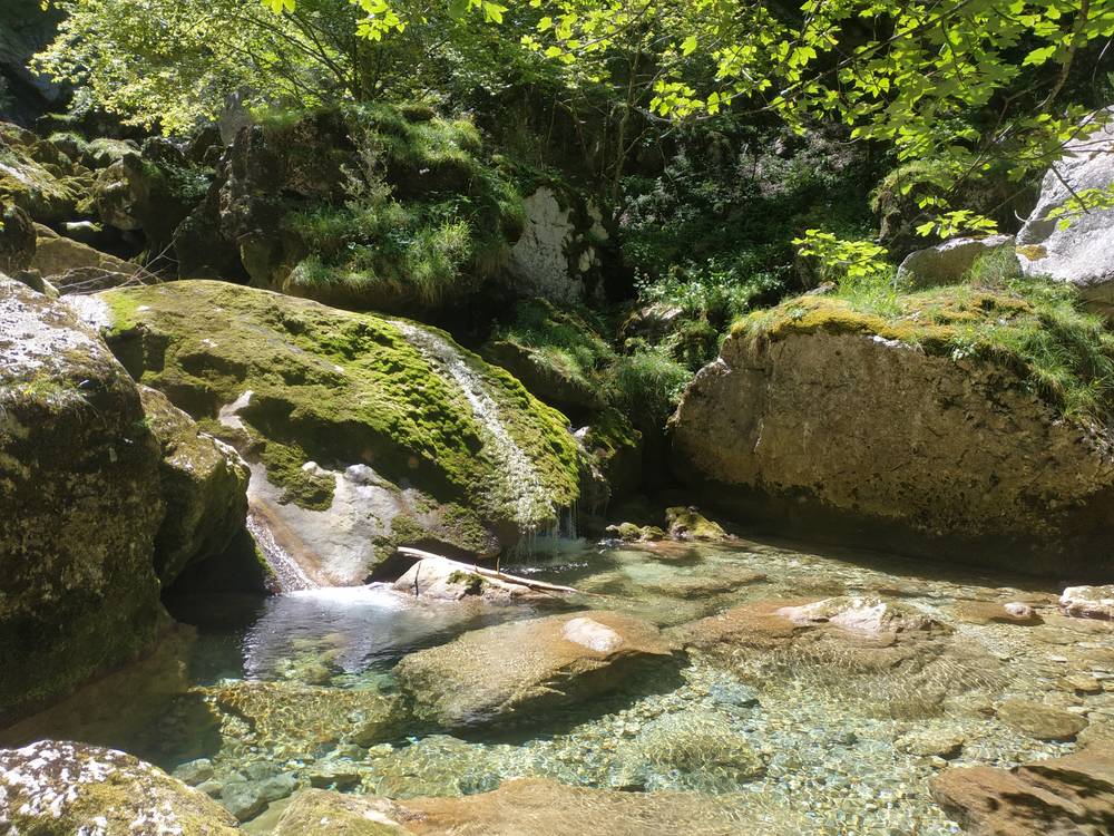 Petite cascade qui se déverse dans un bassin d'eau turquoise entouré de roches moussues