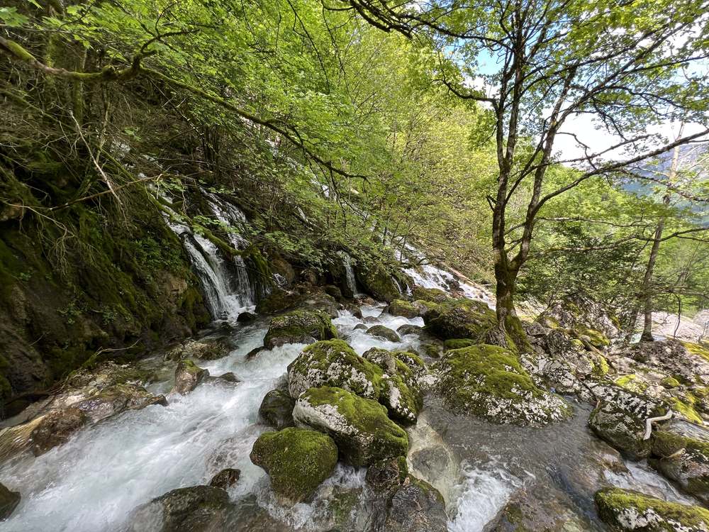 Cascade qui dévale des rochers couverts de mousse dans un sous-bois